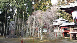 神野寺の庭