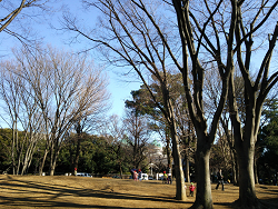 上野公園風景