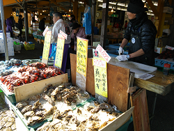 おさかな市場にて、牡蠣も！