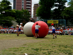 小学校の運動会