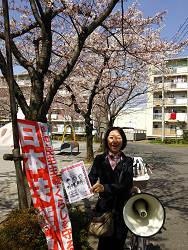 桜の下で宣伝中の山崎たい子区議