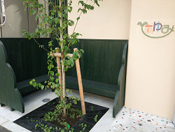 あゆみ福祉センター、入り口に緑の木のベンチ
