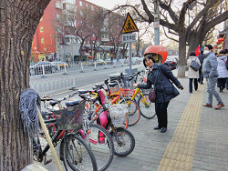 レンタルバイクと山崎たい子区議