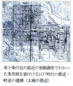 東十条付近の最近の発掘調査でわかった条理を裏付ける江戸時代の農道・畦道の遺構